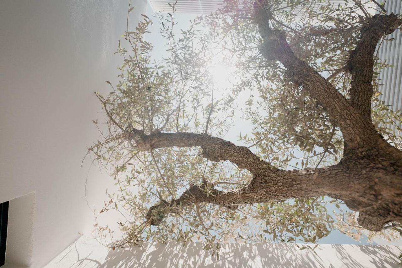 Cubic Mykonos Seafront Design Suites オルノス エクステリア 写真